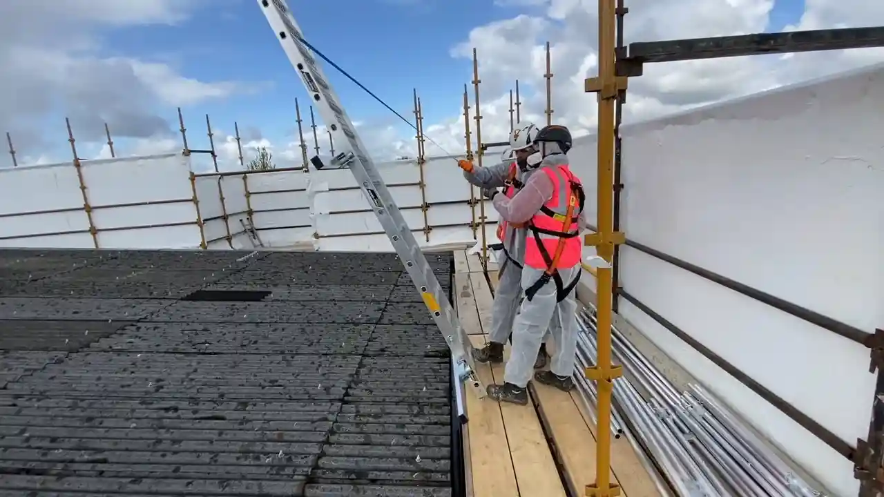 Asbestos Removal Dublin professional services video